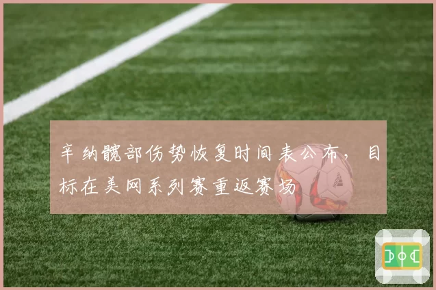 辛纳髋部伤势恢复时间表公布,目标在美网系列赛重返赛场