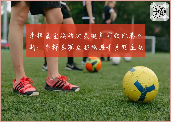 李梓嘉金廷两次关键判罚致比赛中断,李梓嘉赛后拒绝握手金廷主动示好