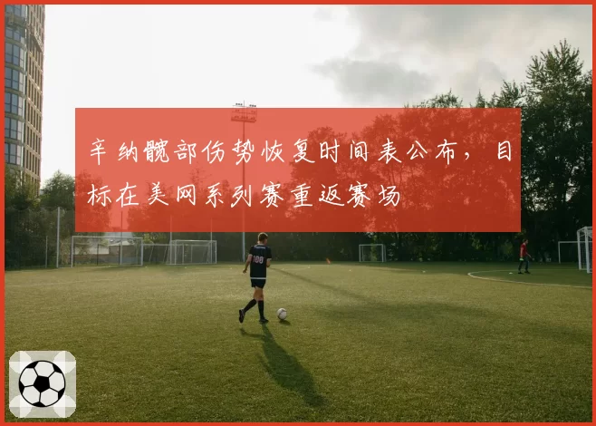 辛纳髋部伤势恢复时间表公布，目标在美网系列赛重返赛场