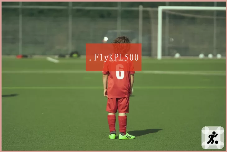 .FlyKPL500