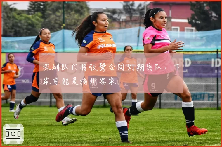深圳队门将张鹭合同到期离队,下家可能是梅州客家