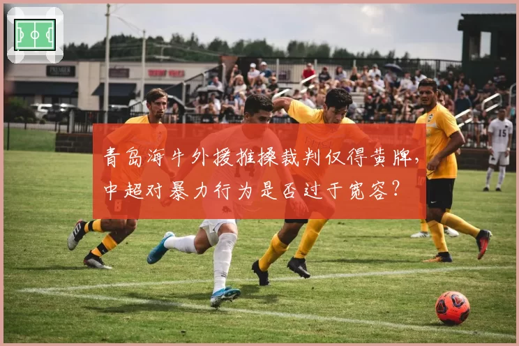 青岛海牛外援推搡裁判仅得黄牌，中超对暴力行为是否过于宽容？